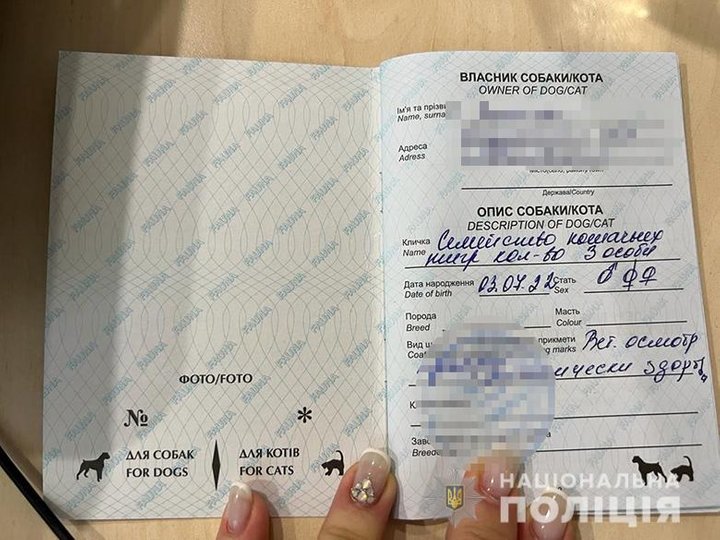 Фото: поліція Києва
